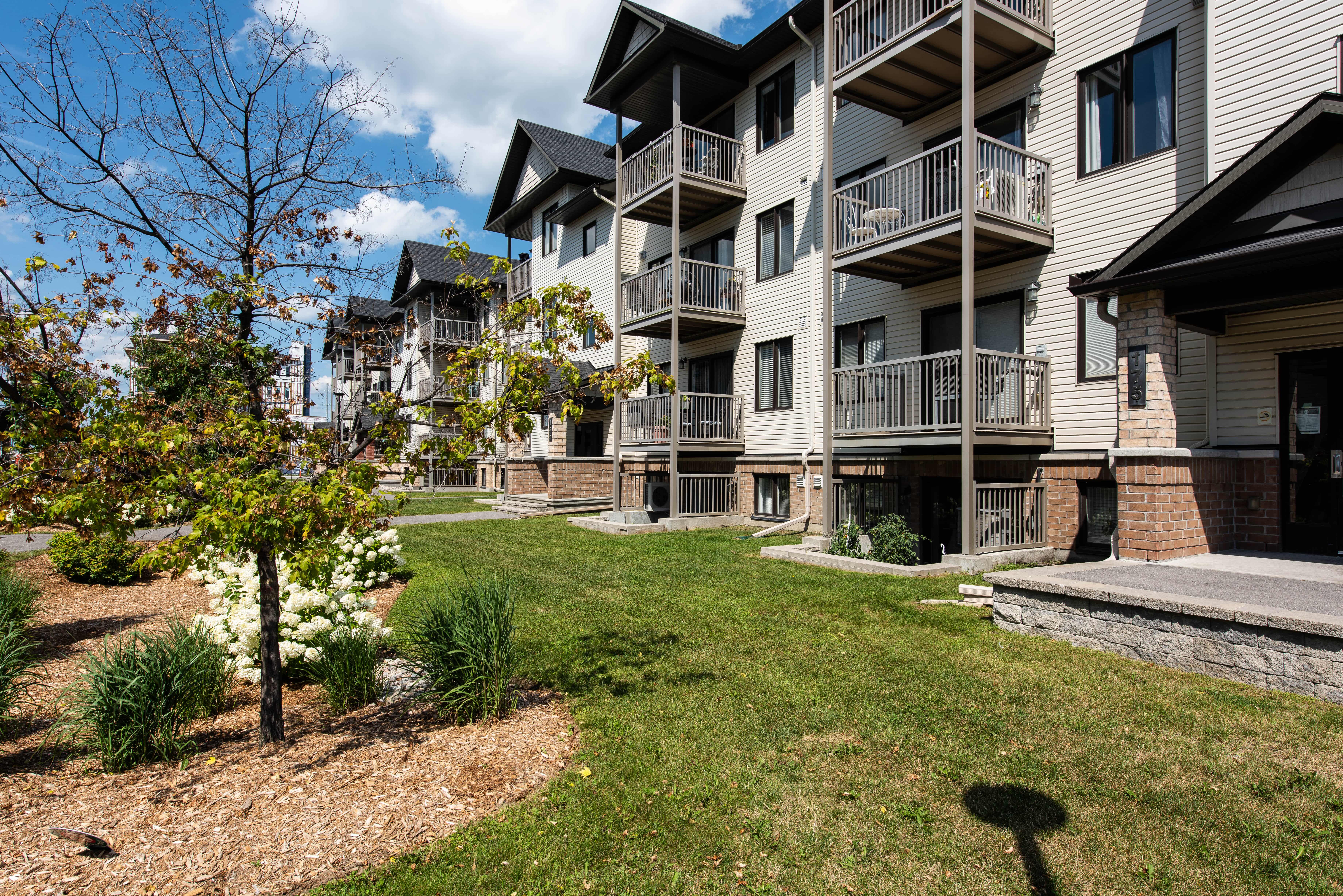 Images Leif Olson - Ottawa Real Estate Agent - Hamre Team RE/MAX Affiliates