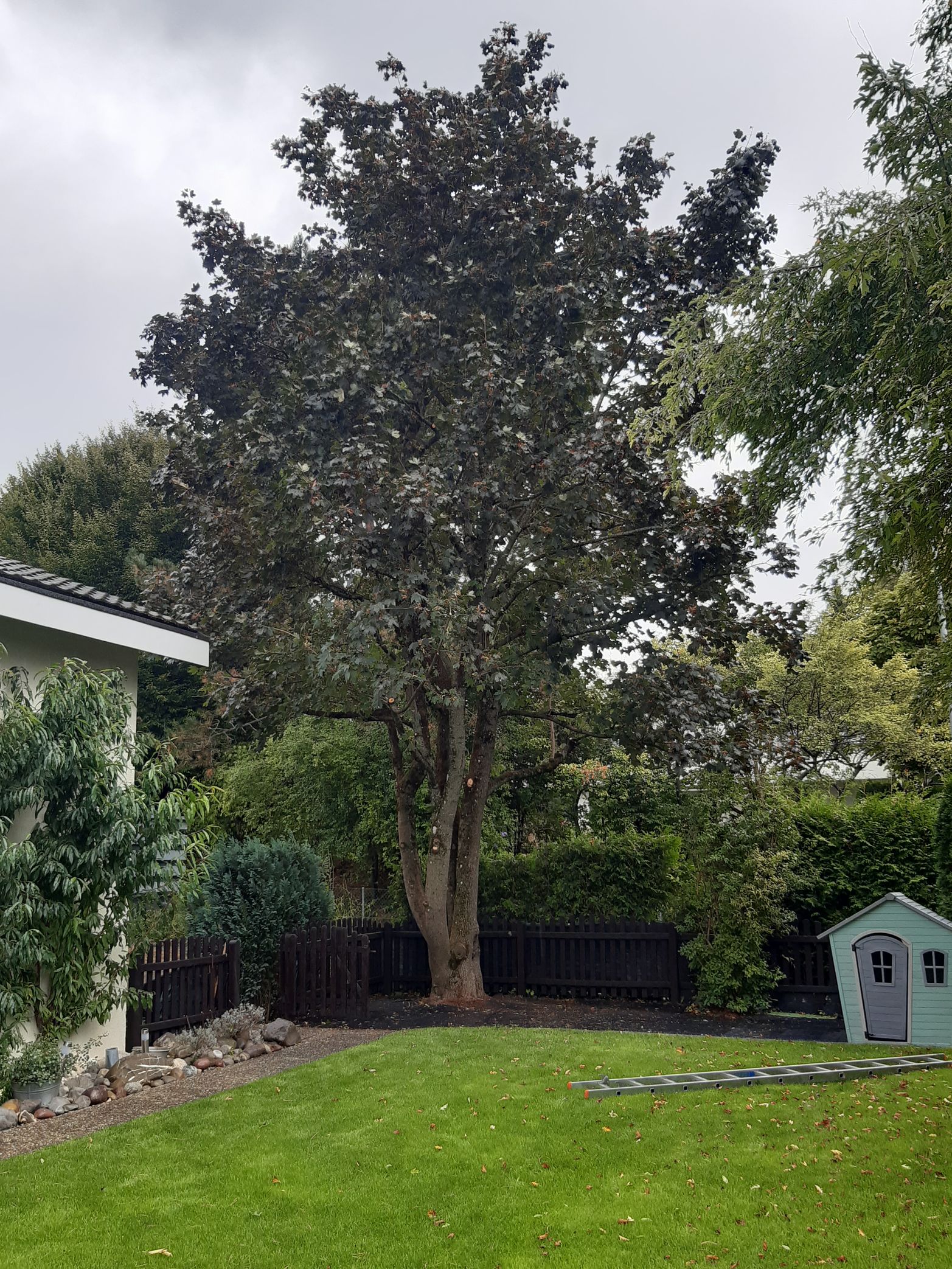 Bilder Blattert Garten- und Rasenpflege GmbH