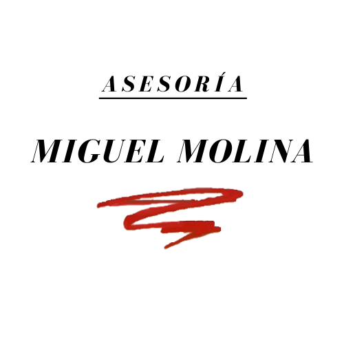 Asesoria Miguel Molina Águilas