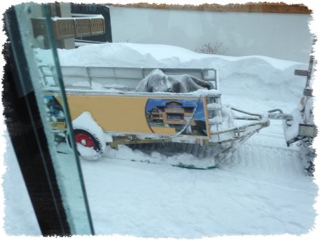 Bilder MTV Meubles Transport Videira