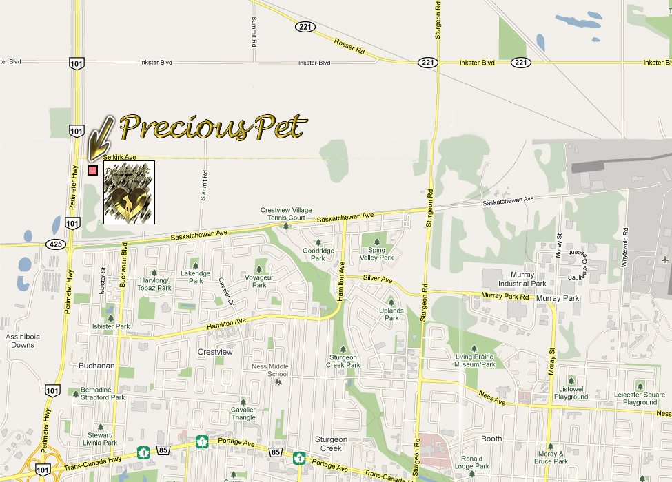Precious Pet Cremation