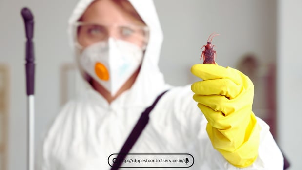 Images Pest Control New York