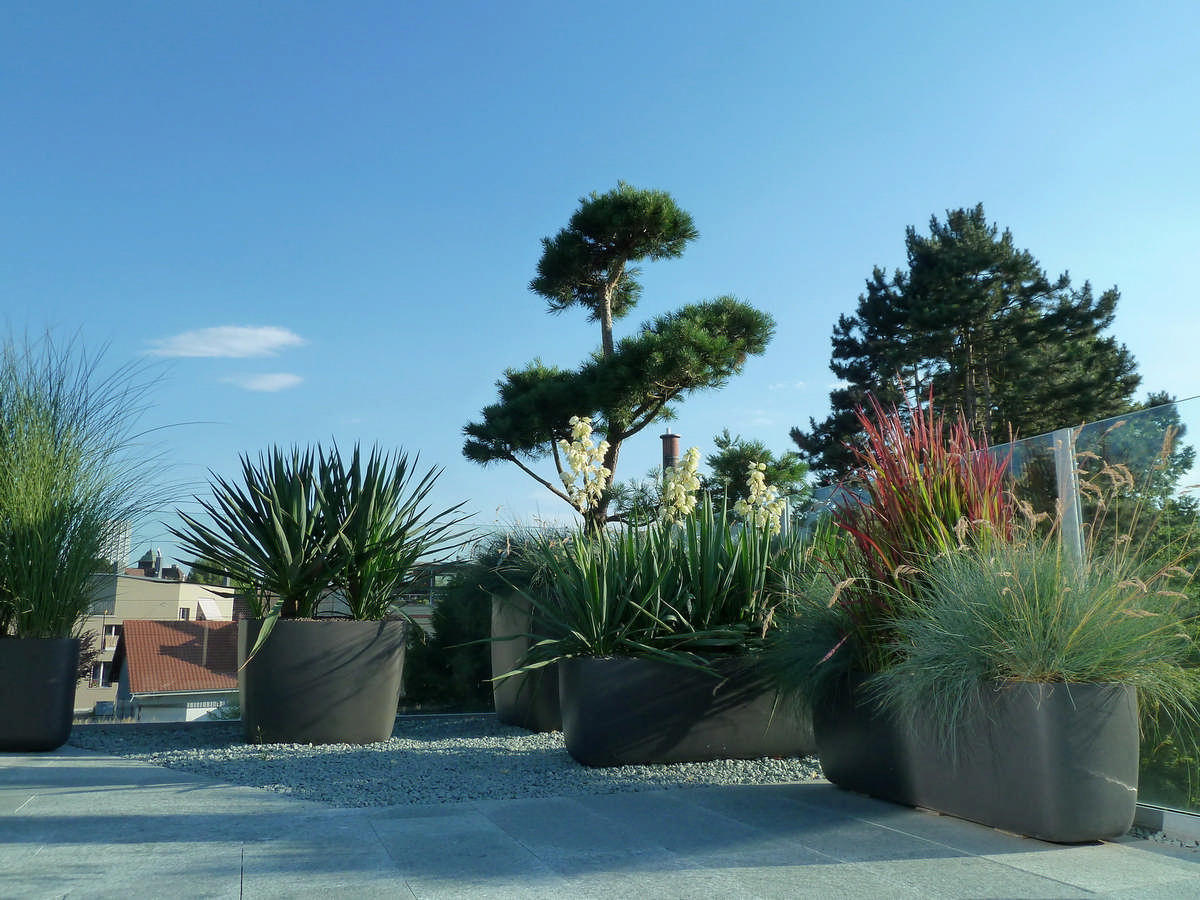 Silvedes AG, Bellevue in Brütten