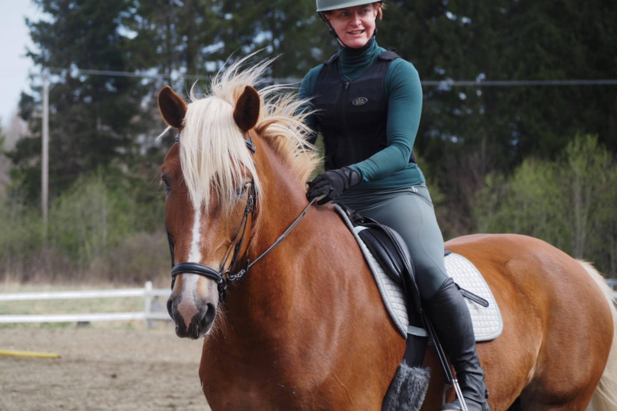 Images Relanderin Ponitalli