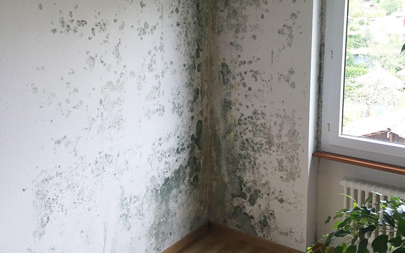 Giesser AG, Dennliweg 35 in Langenthal