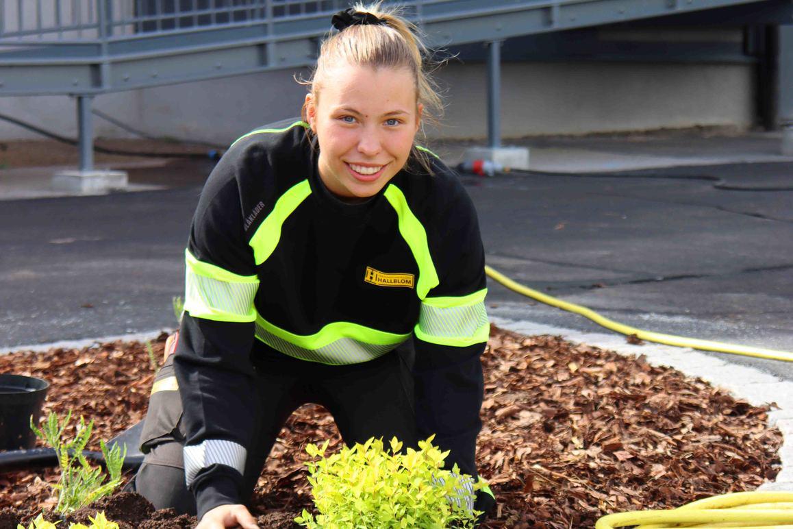 Images Trädgårdsanläggare Hallblom AB