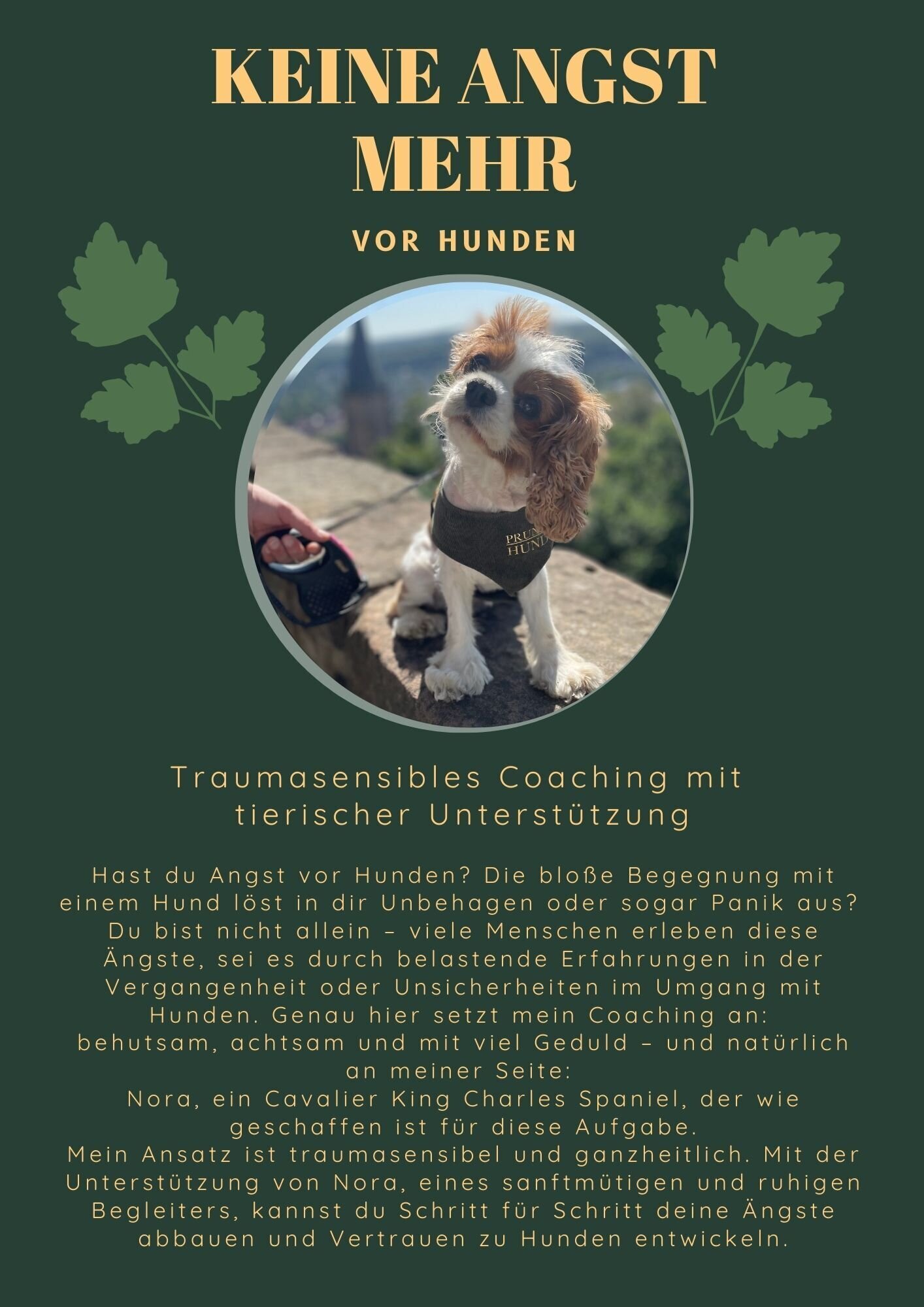 Bilder Traumasensible Ernährungstherapie