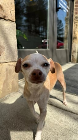 Images Rick Mottern - State Farm Insurance Agent