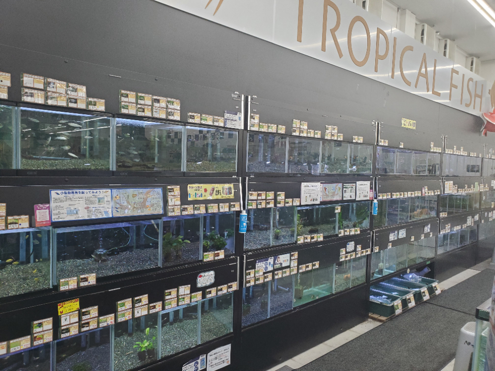 Images ペッツランド菊陽店