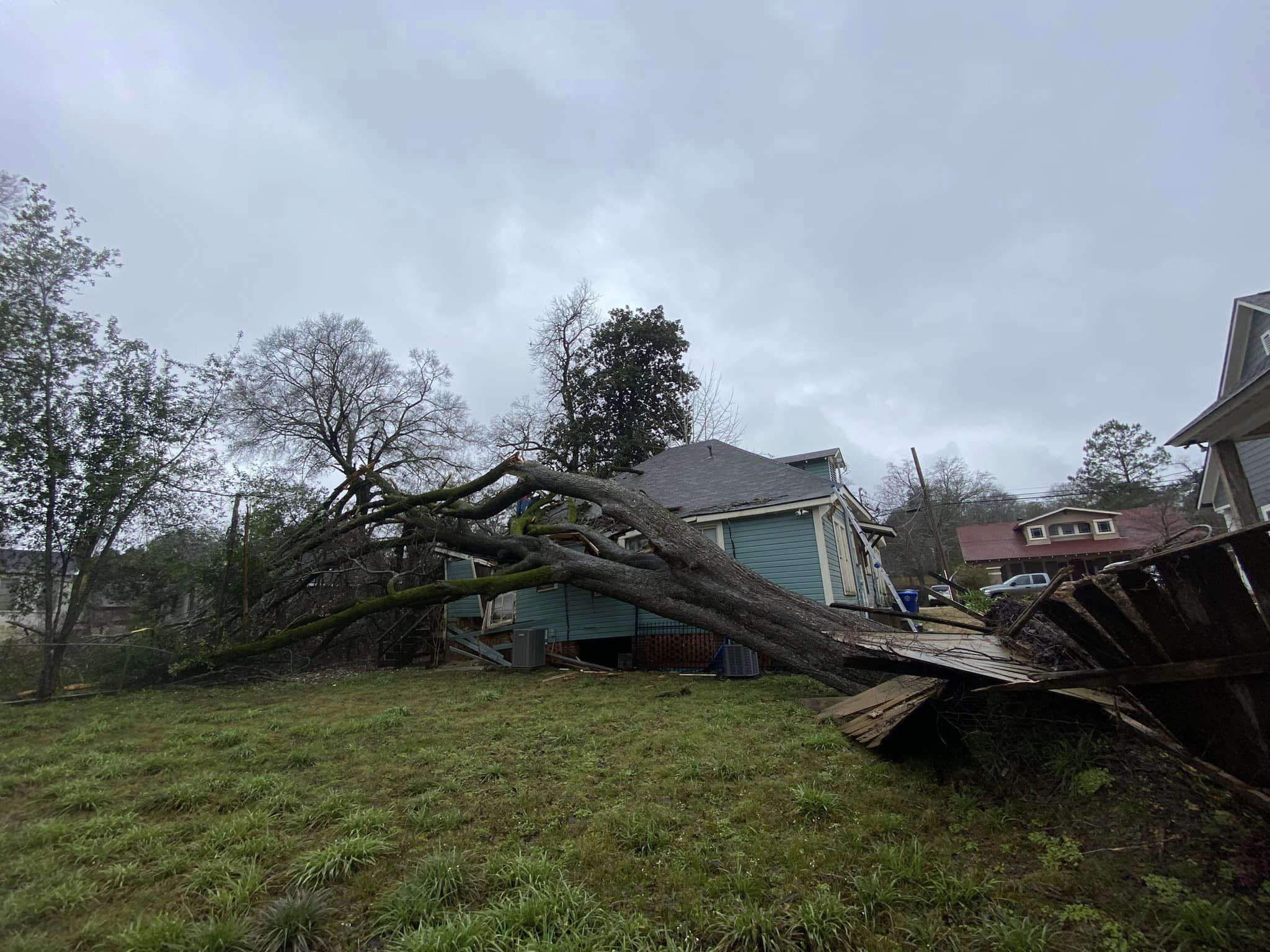 Bynog's Tree Services Image