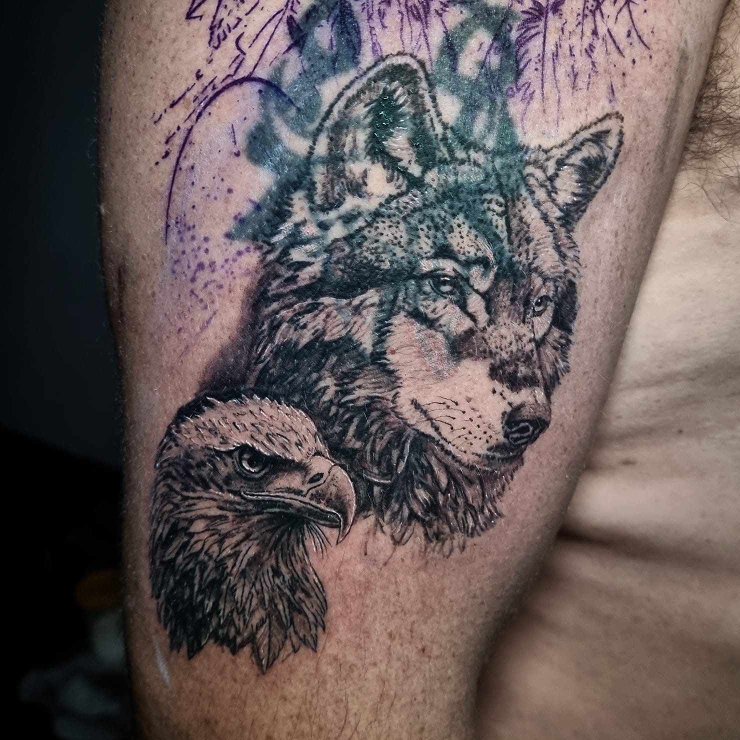 Images Noctaris Tattoo