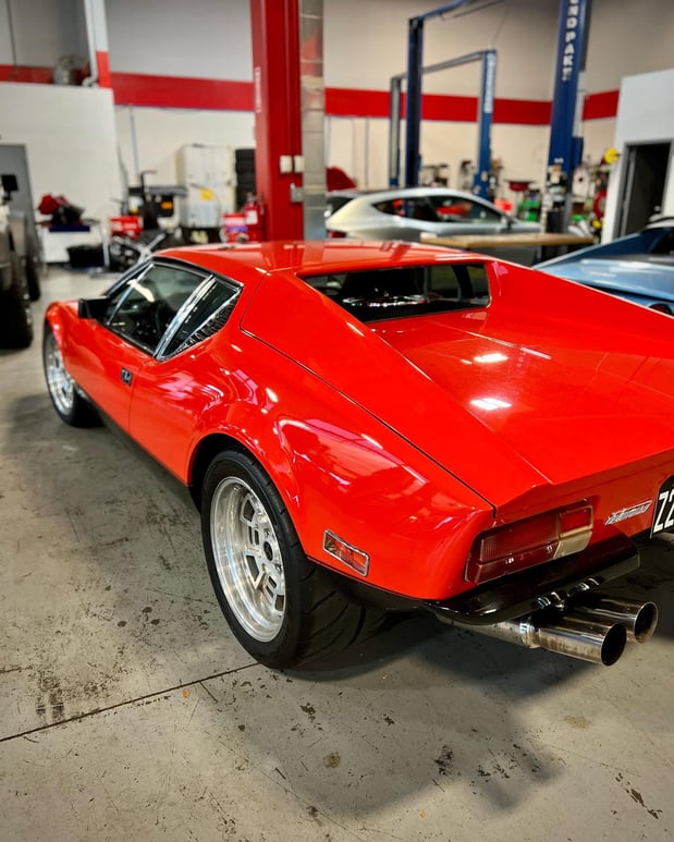 Images Loudoun County Exotics