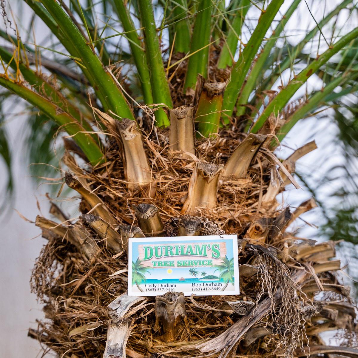 Durham's Tree Service