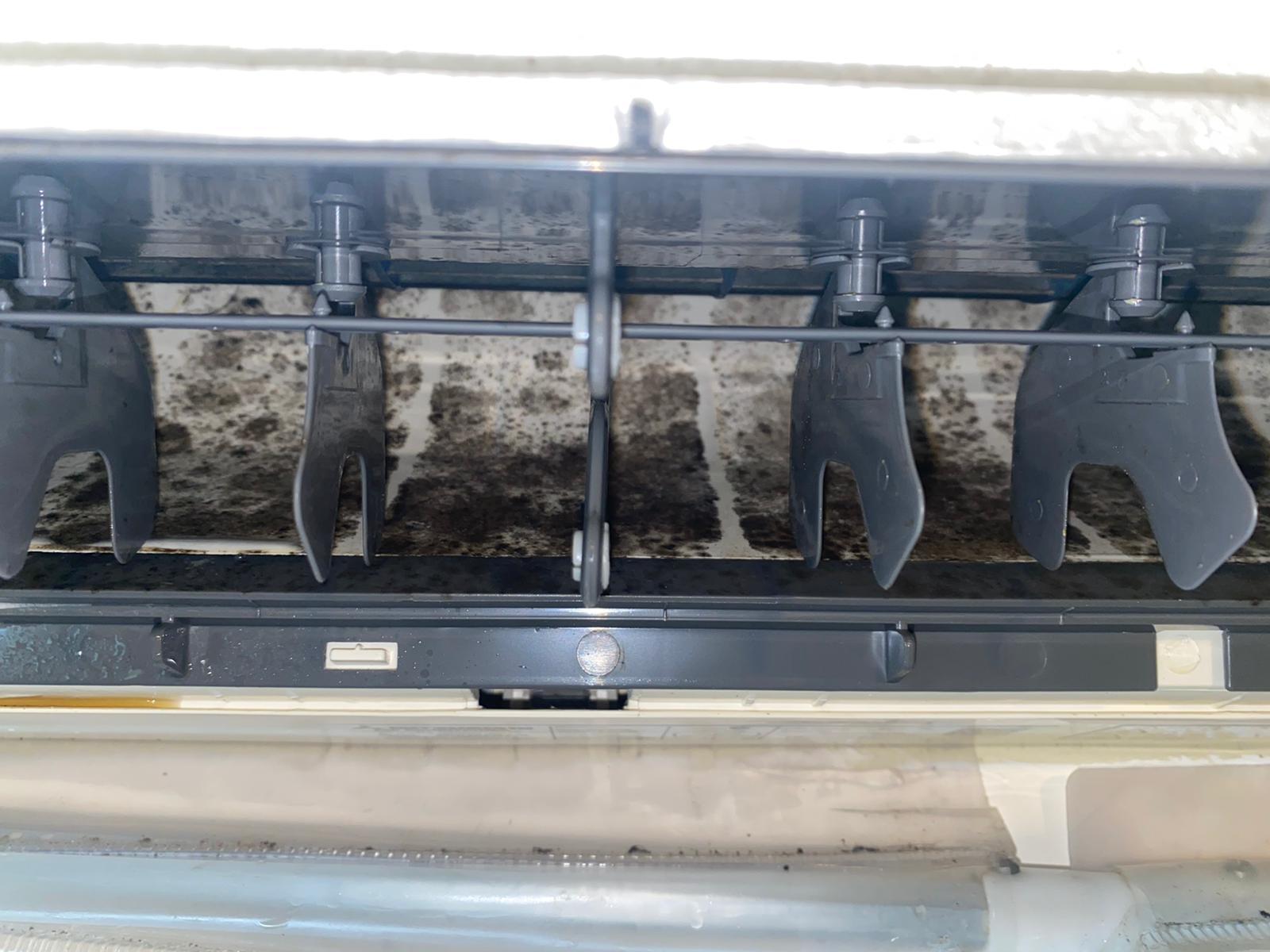 Images MouldMen - Mould Gone