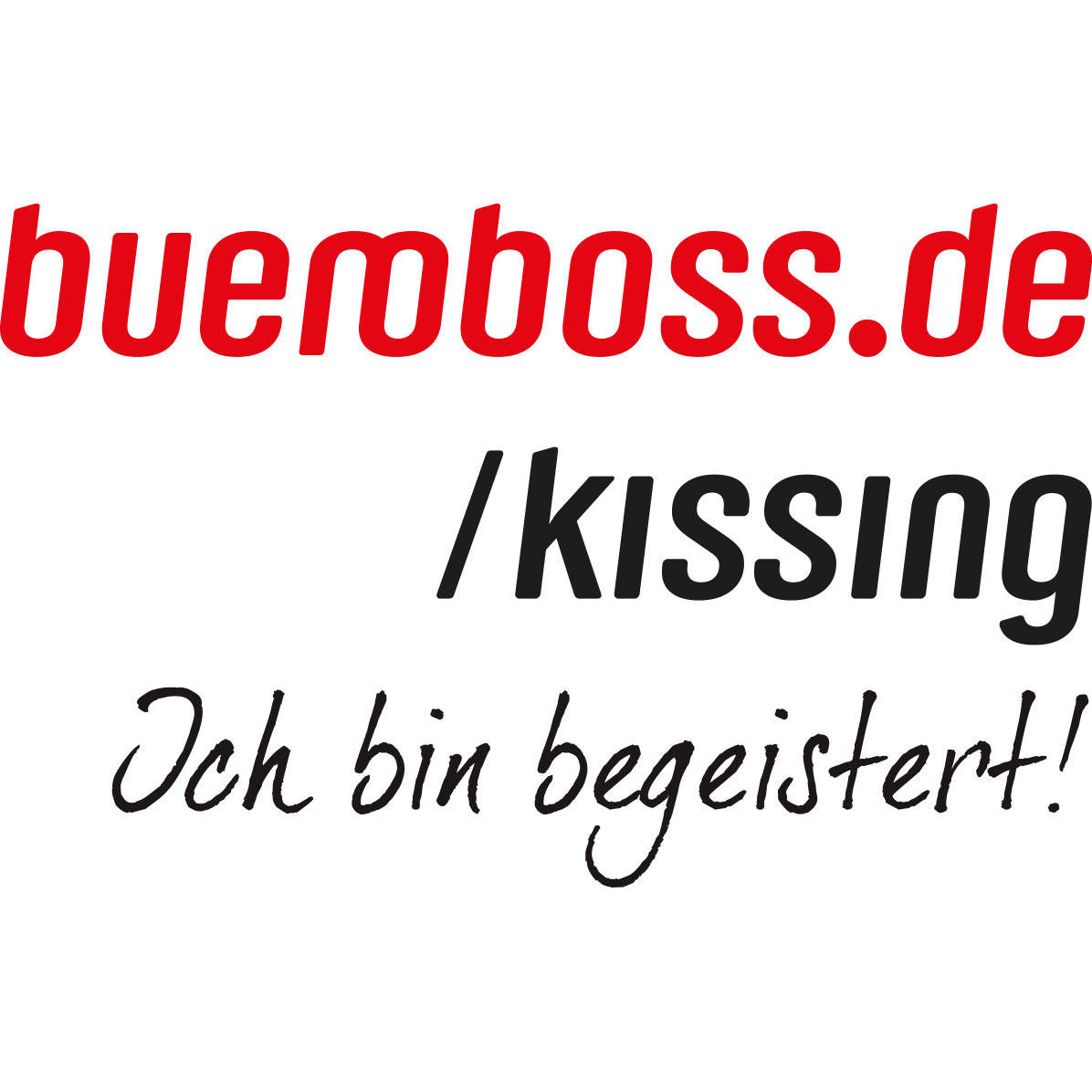 Logo kissings team GmbH & Co. KG