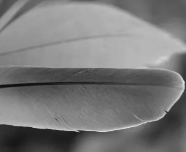 Bild 2 von LanguageLink Sprachdienste GmbH