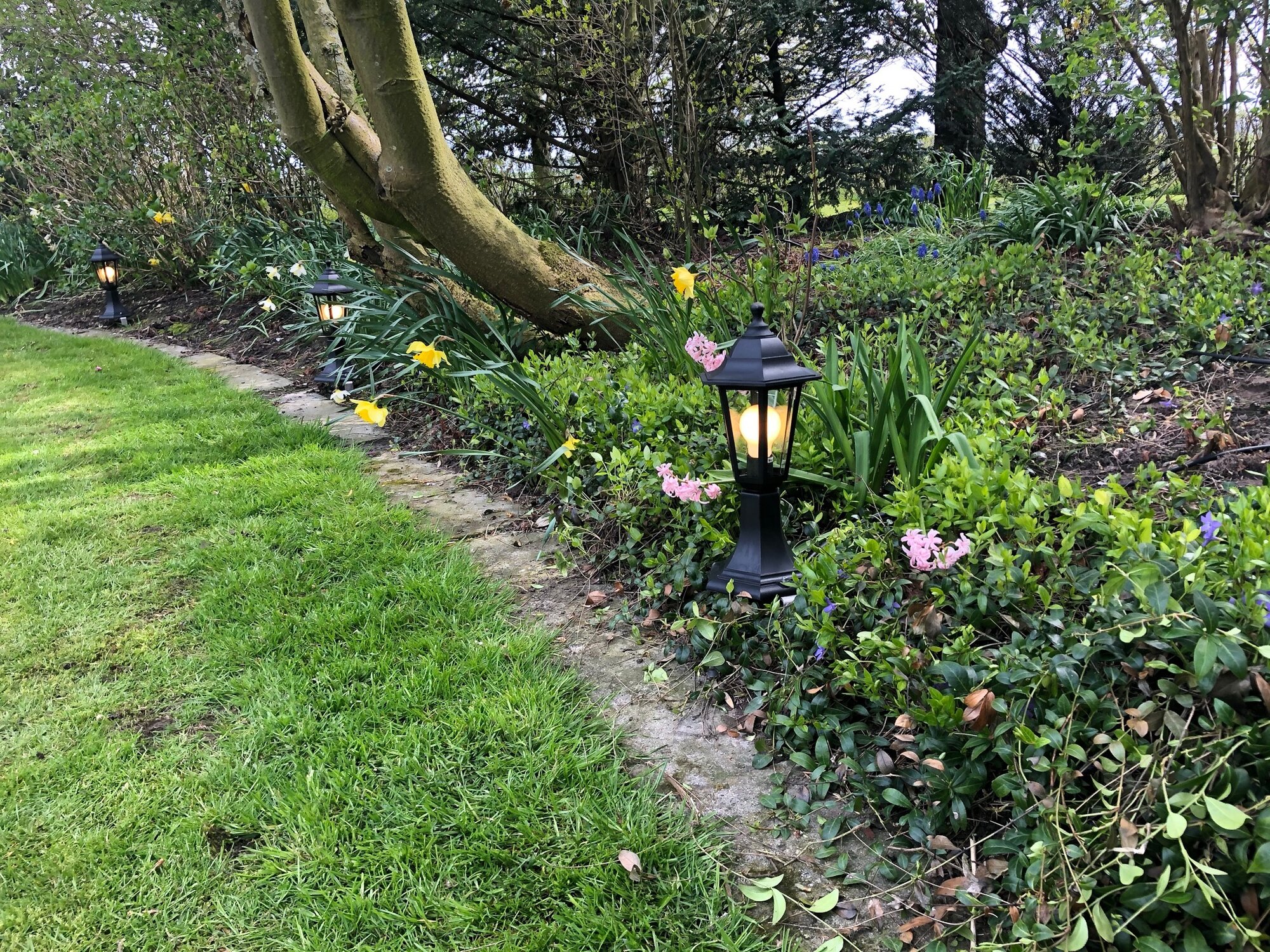 Bilder Sergius Weisert - SW-Et.