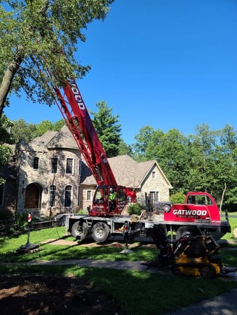 Images Joe Meyer Tree Service Inc