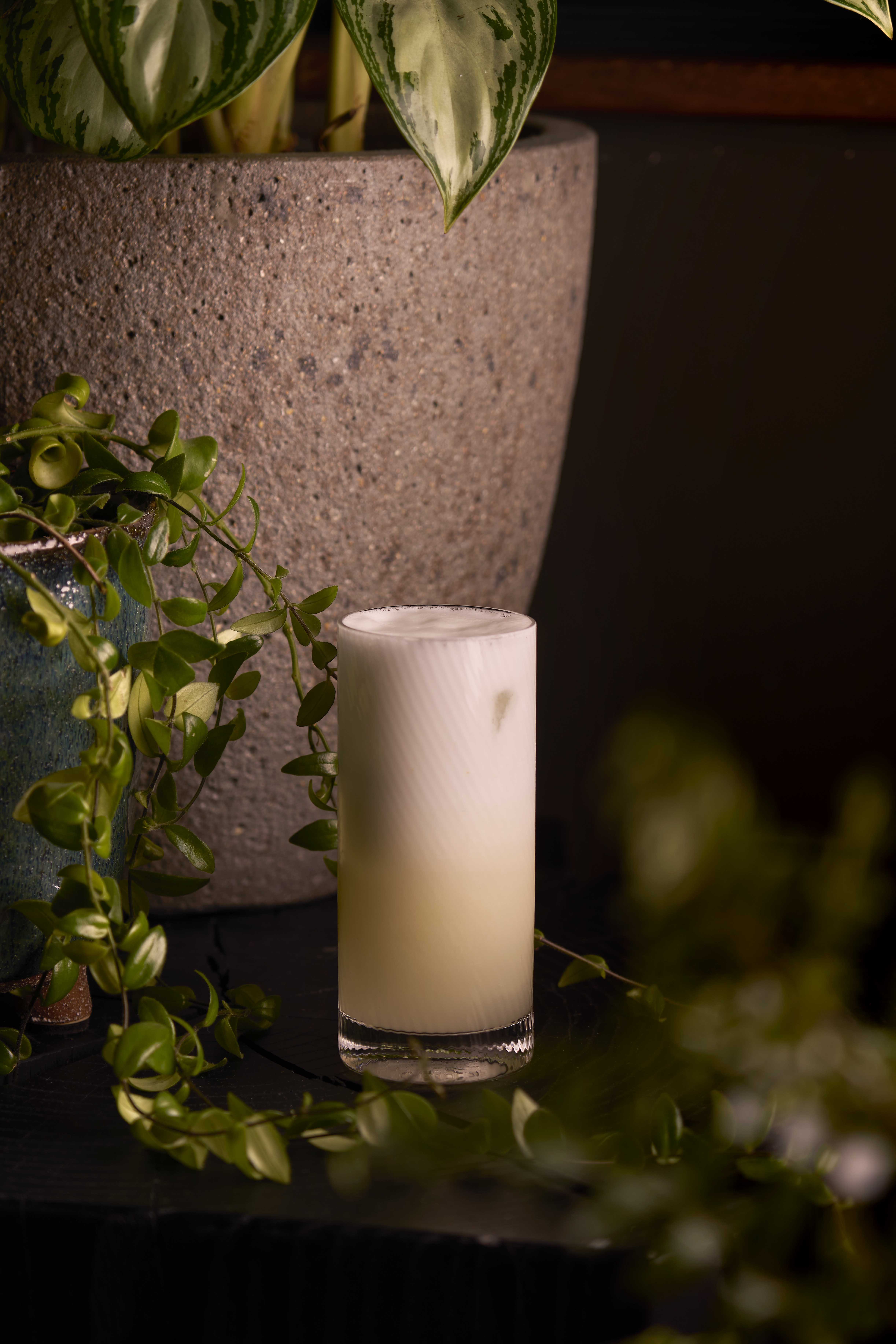 Craft Cocktail