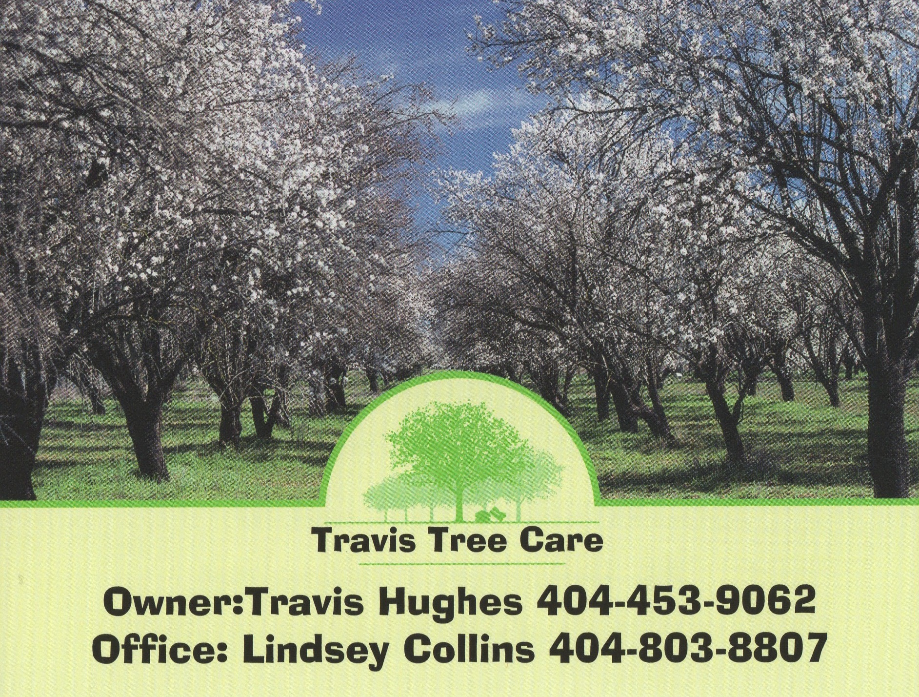 Travis Tree Care and Landscaping