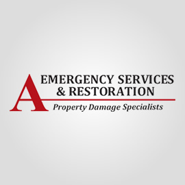 A-Emergency Services & Restoration - Chicago, IL 60618 - (773)529-6700 | ShowMeLocal.com