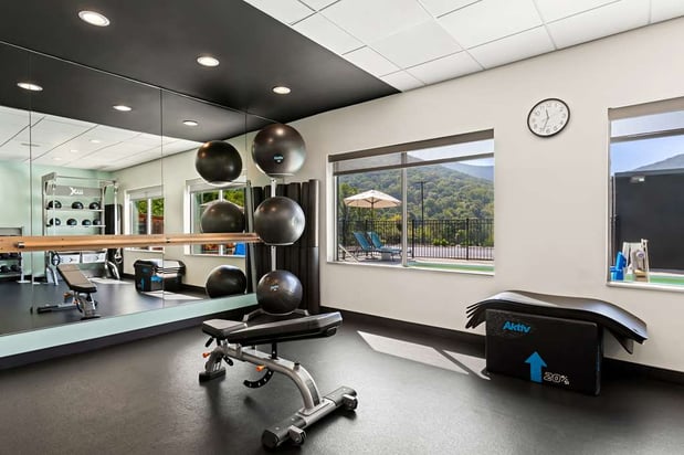 Images Tru by Hilton Asheville Blue Ridge Parkway