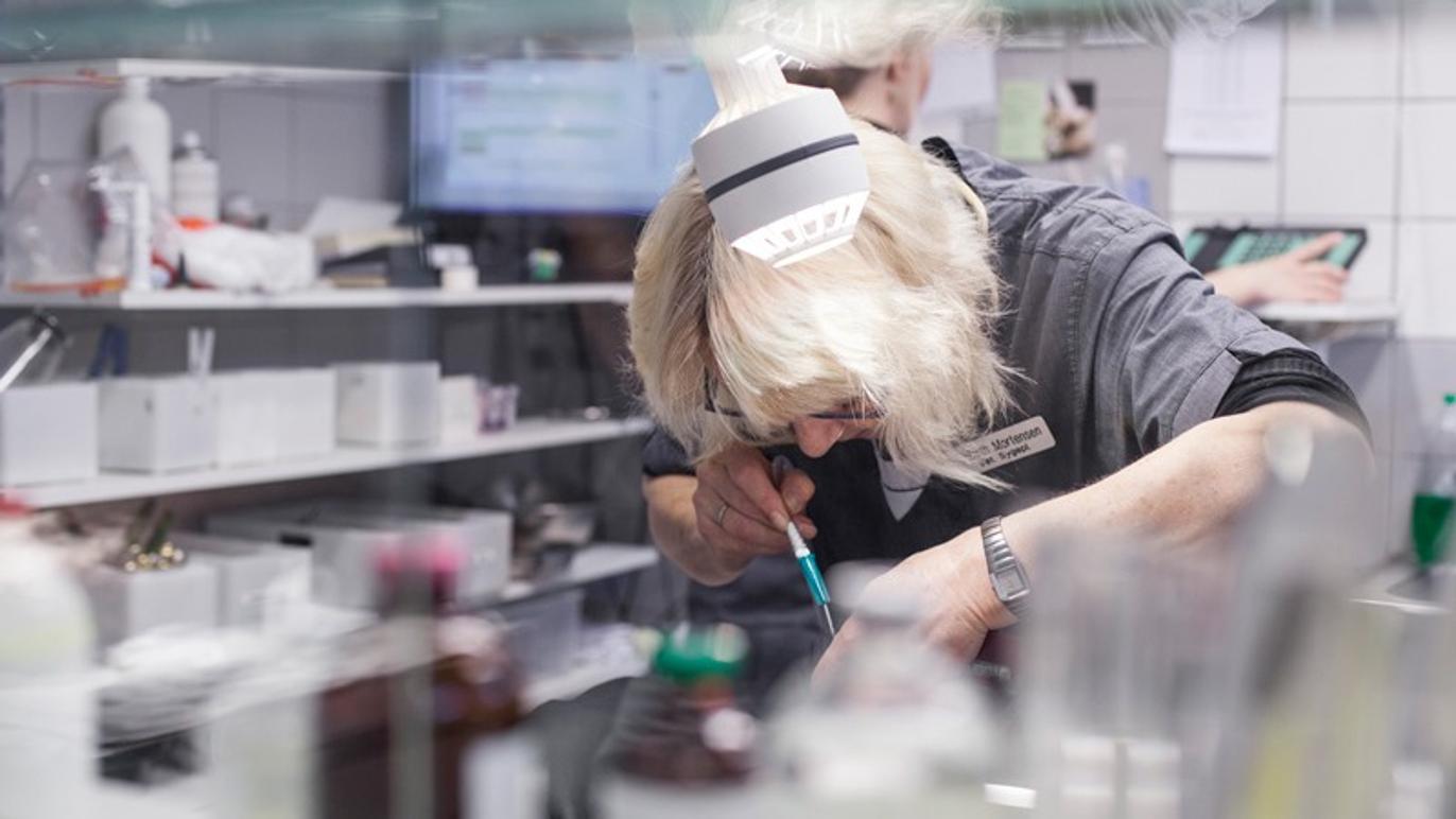 Images Dyrehospitalet 9000 ApS