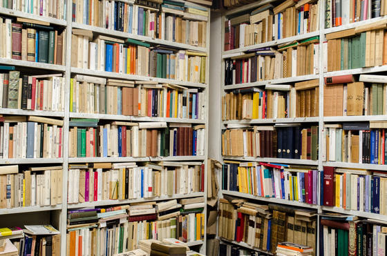 Images Libreria Cesaretti al Collegio Romano