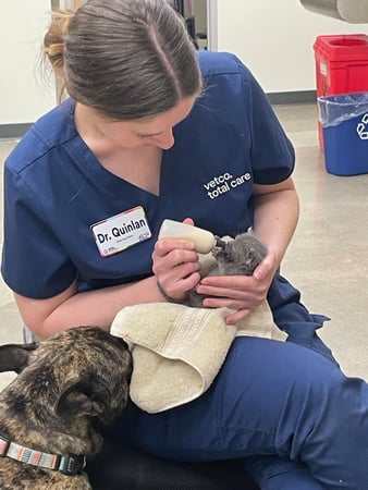 Images Vetco Total Care Animal Hospital