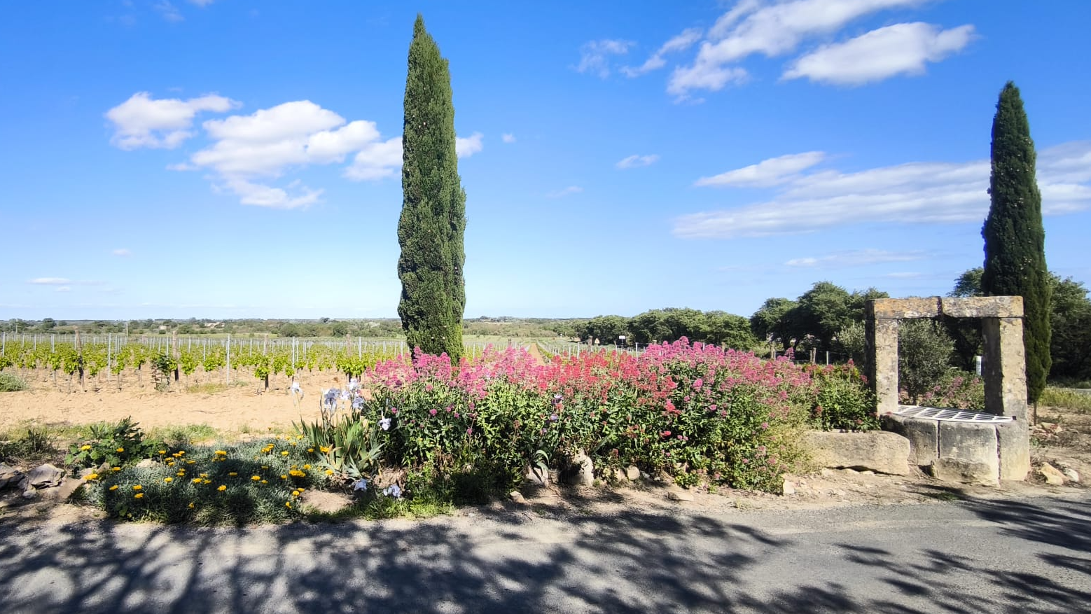 Images Domaine Croix la Pagèze