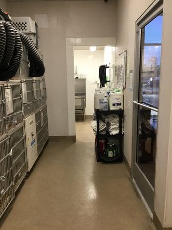 Images Petco Grooming