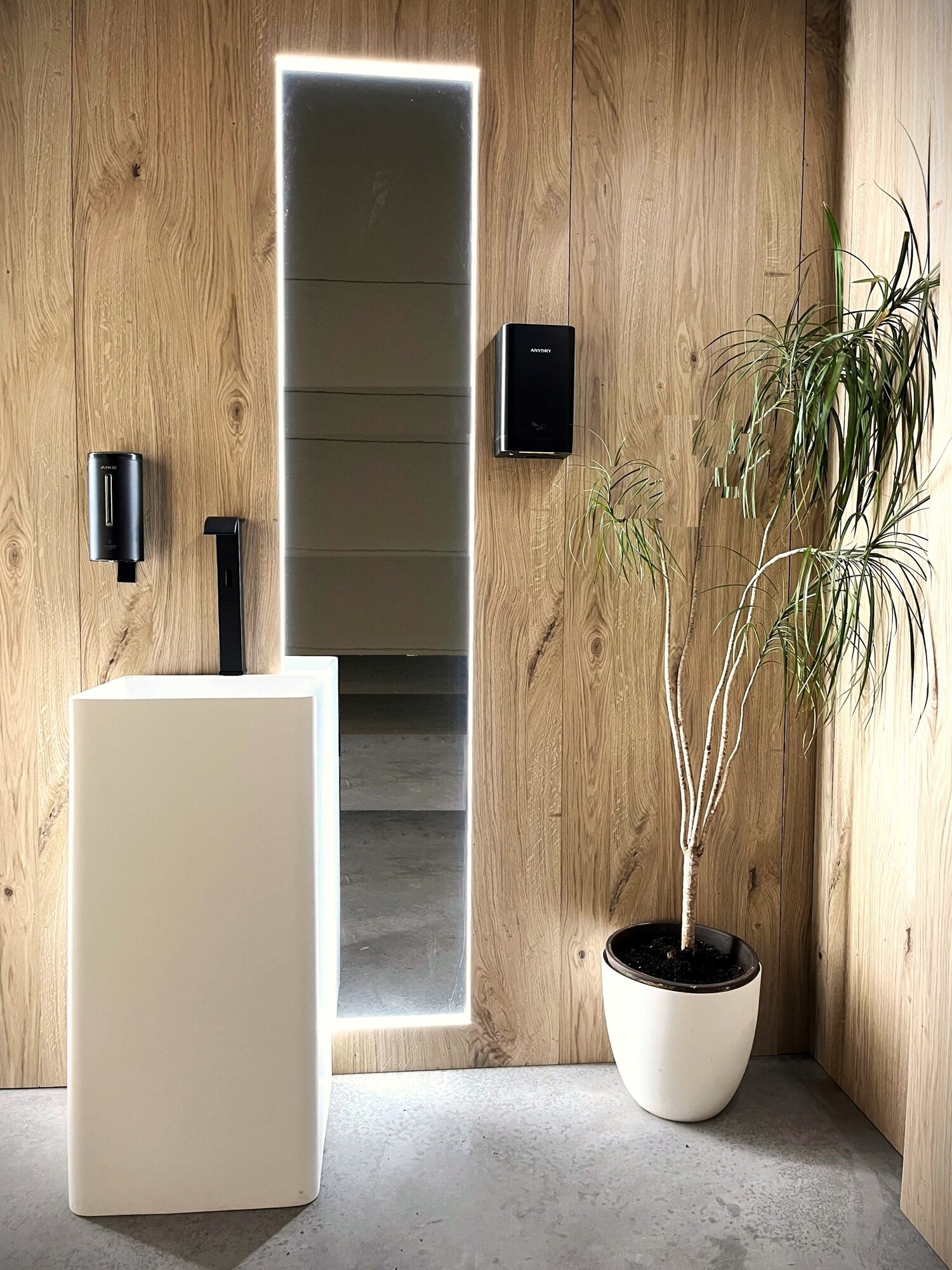 Images Special Toilet S.L.