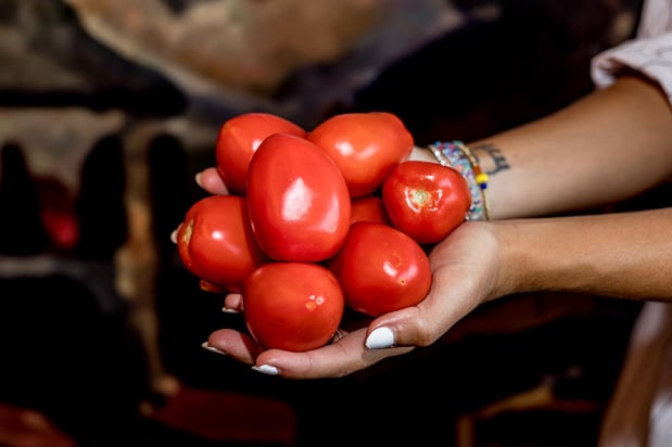 Images El Tianguis Rolled Taquitos
