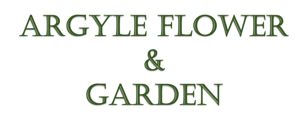 Images Argyle Flower & Garden