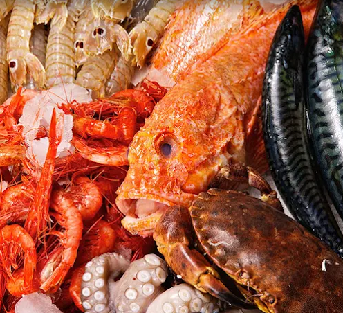 Images Pescheria La Manfredoniana