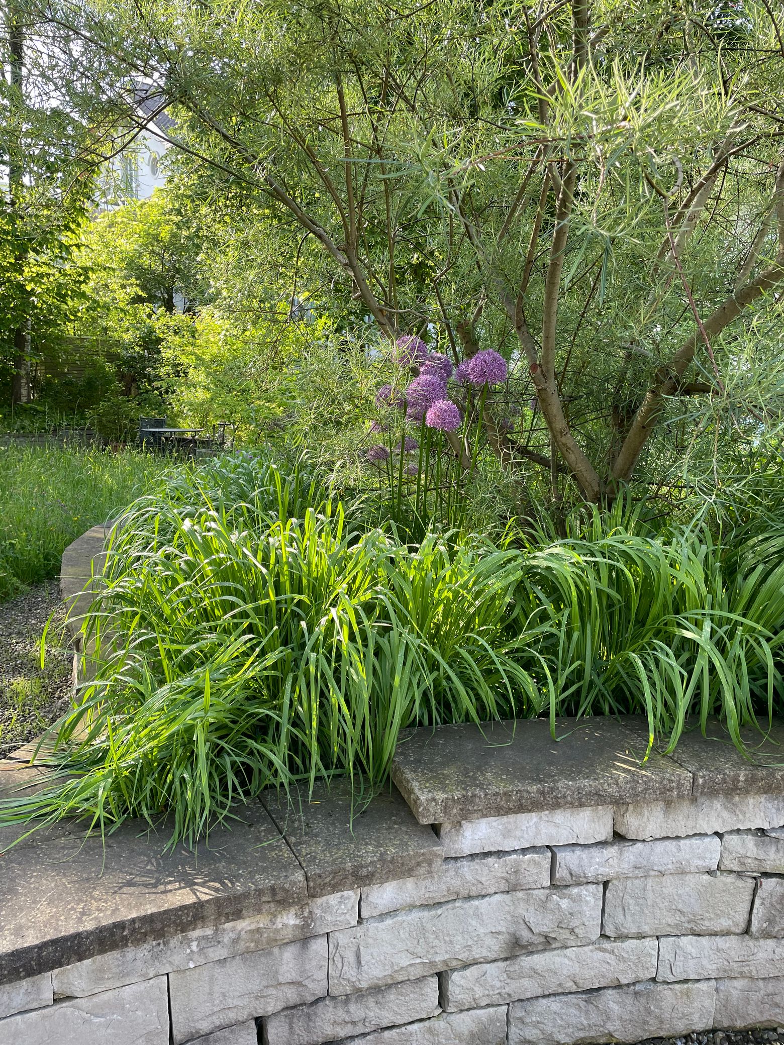 Bilder Naturgarten Werk Marc Styger