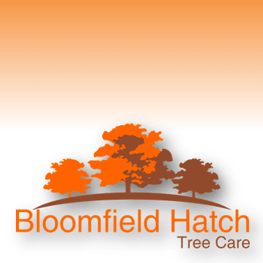 Bloomfield Hatch Tree Care Logo