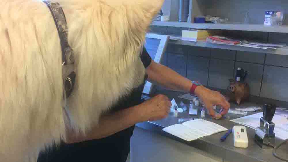 Images Store Heddinge Dyrehospital