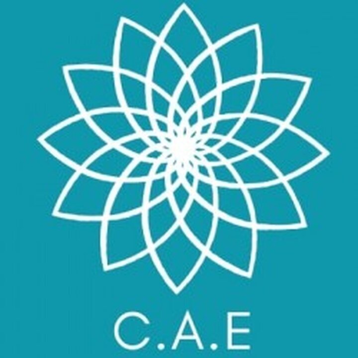 Images Cursos Online de Aparatología Estética (CAE)