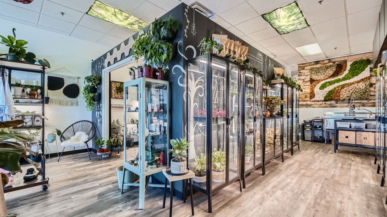 Our vibrant display of succulents, leafy greens, and flowering plants at Rooting For You, a serene Las Vegas plant nursery.