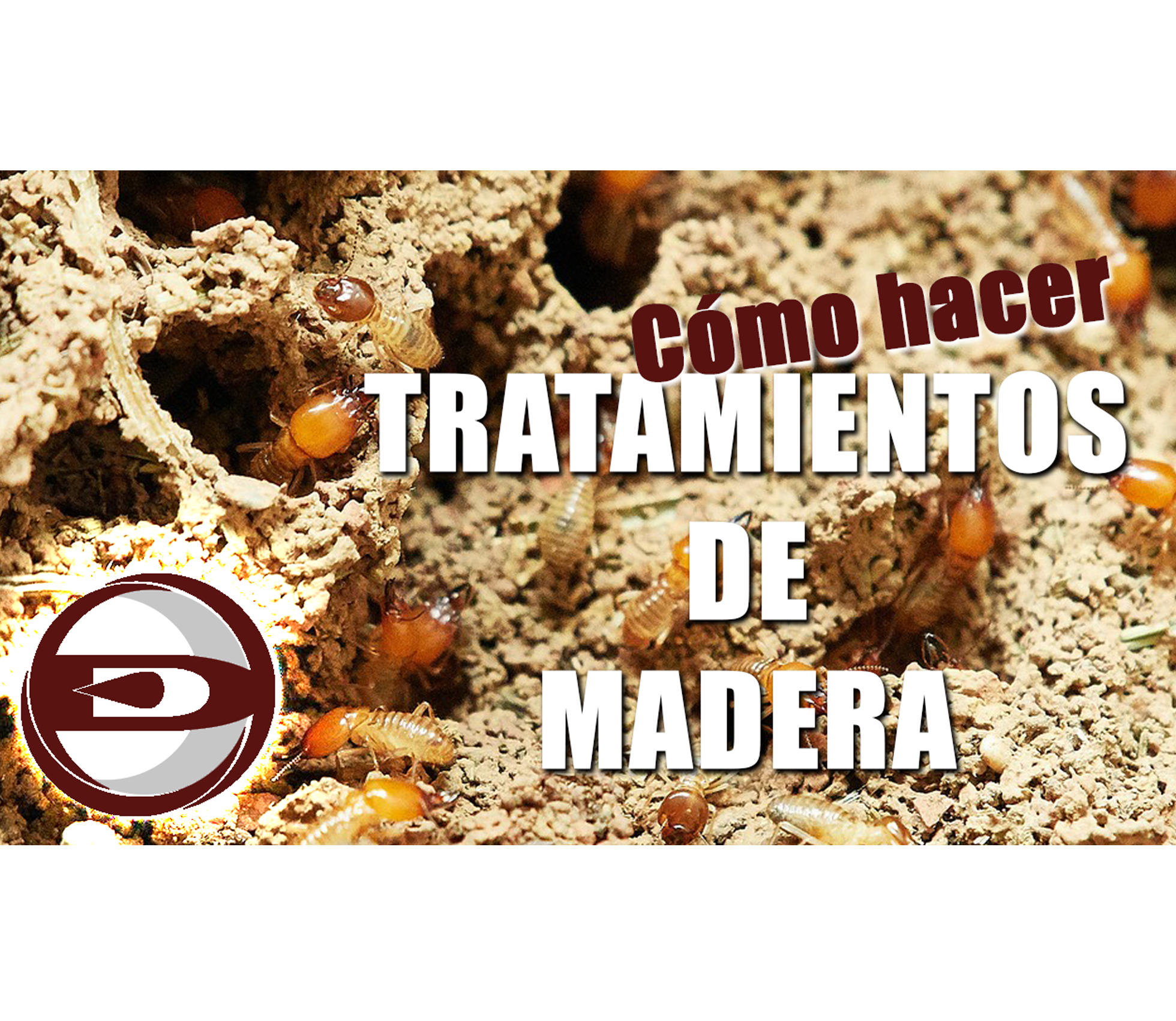 Images Denor Control de Plagas