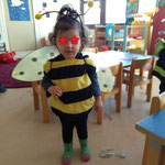 Bienenkostüm - Die kleinen Piraten - Kindergarten - Kinderkrippe