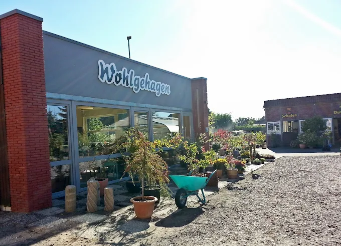 Garten- und Landschaftsbau Wohlgehagen - Ihr Gärtnermeister, Kamp 11 in Rickert