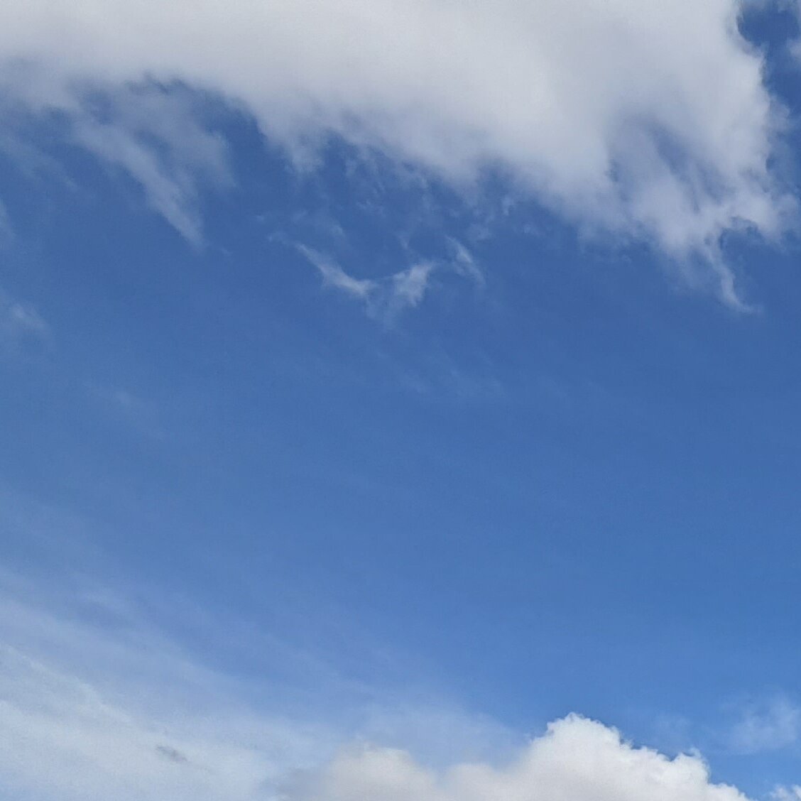 Images MM Roof Cleaning Services (MMRCS)