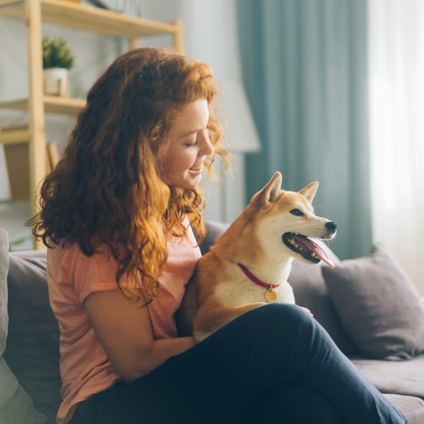 Images Acorn Lake Veterinary Service