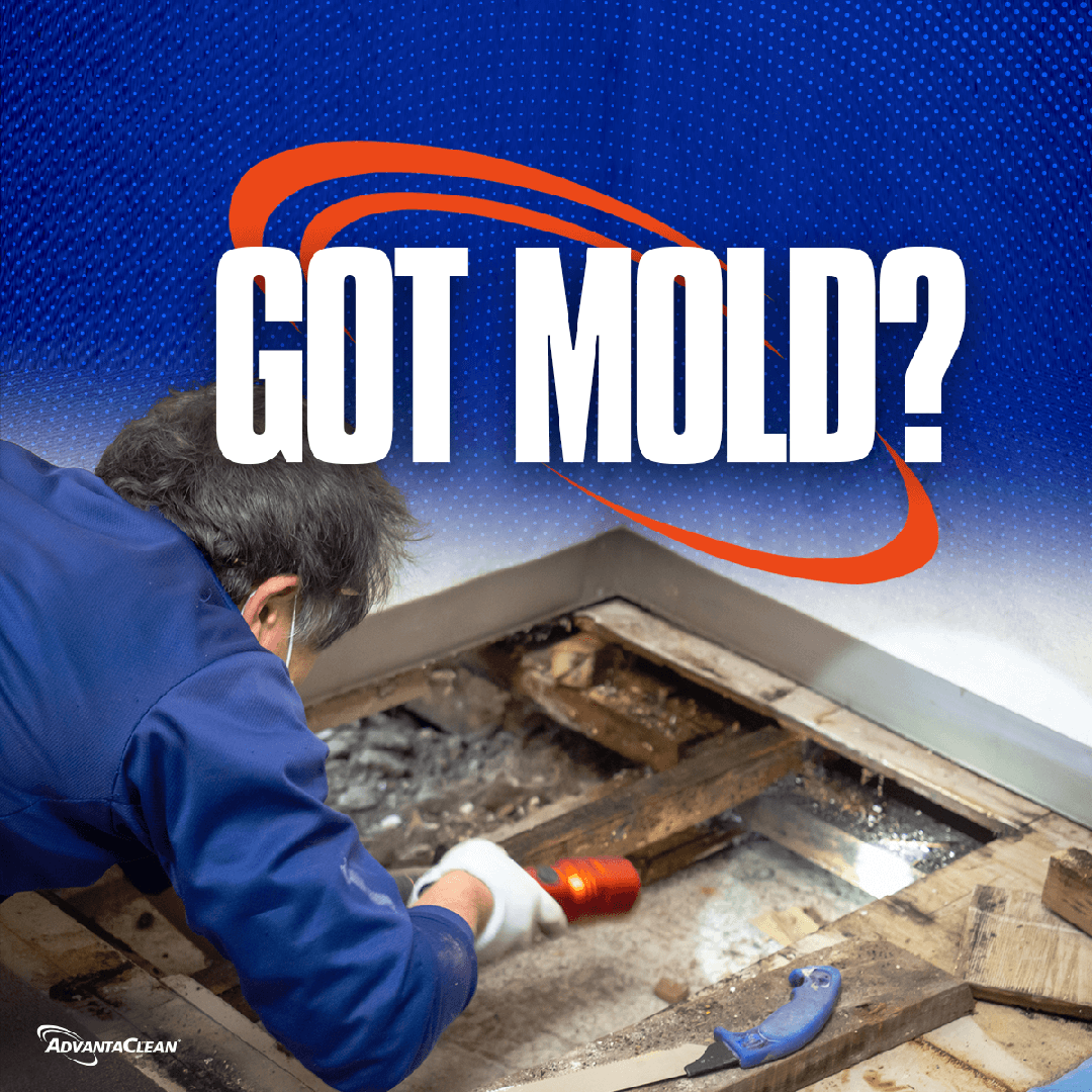 Mold Removal - AdvantaClean of The West Side