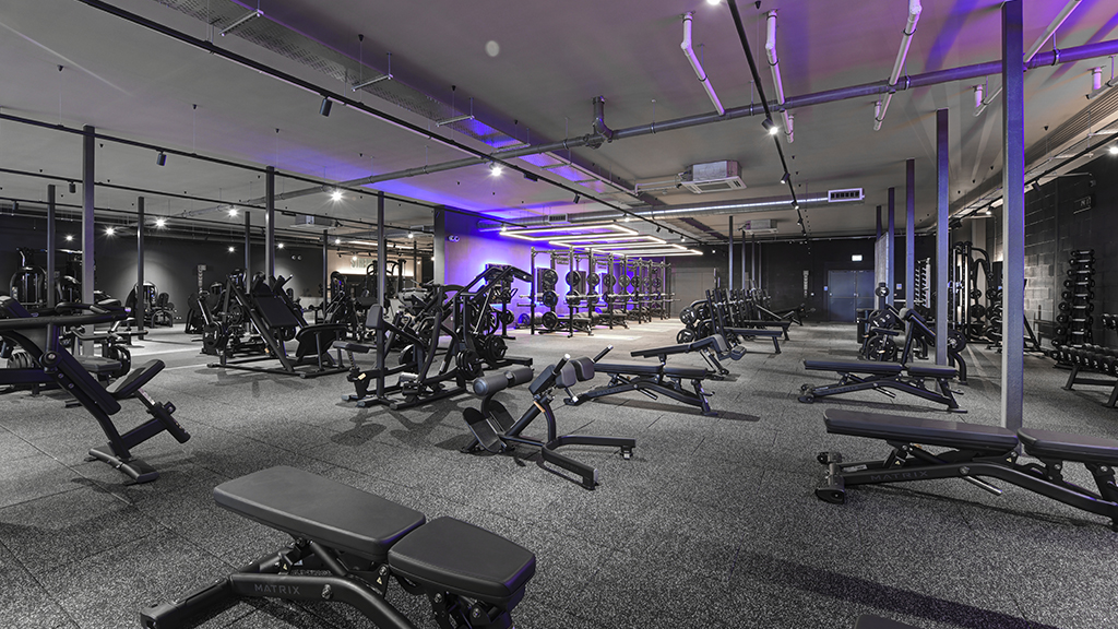 Free Weights Area
