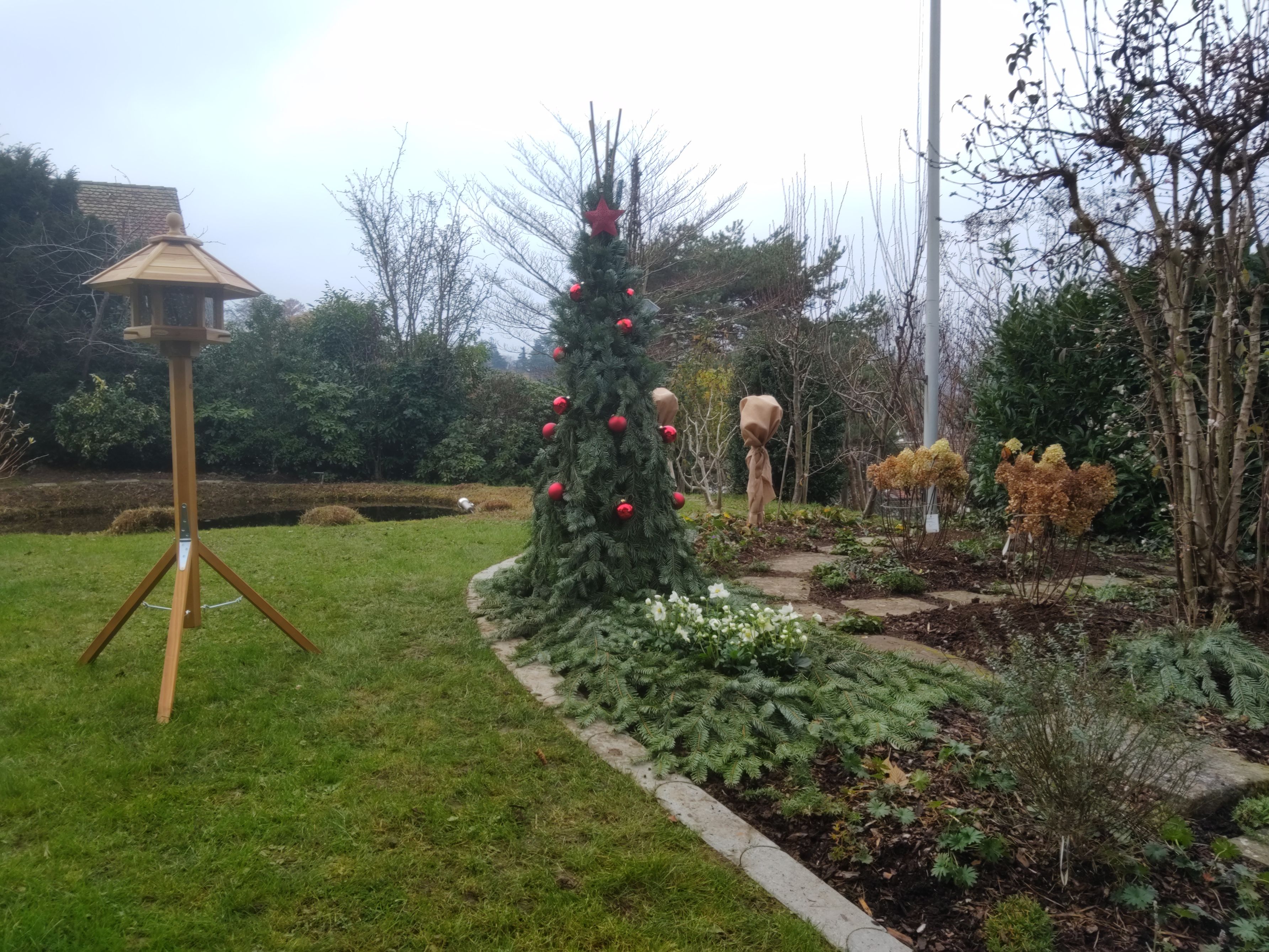 Bilder MM Gartenpflege GmbH