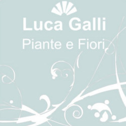 Fiorista Galli Luca Logo