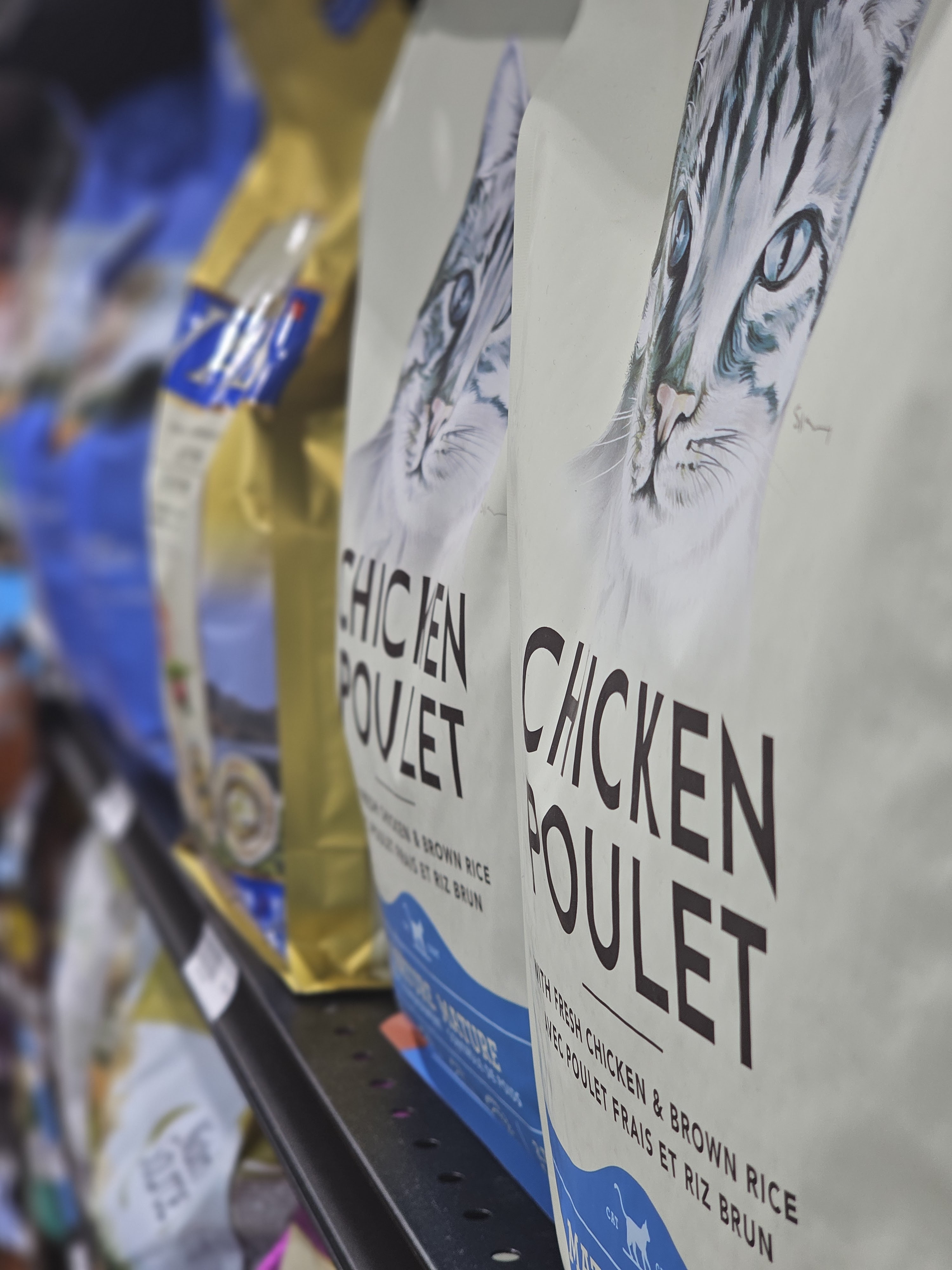 Images Pitou Minou & Compagnons Repentigny